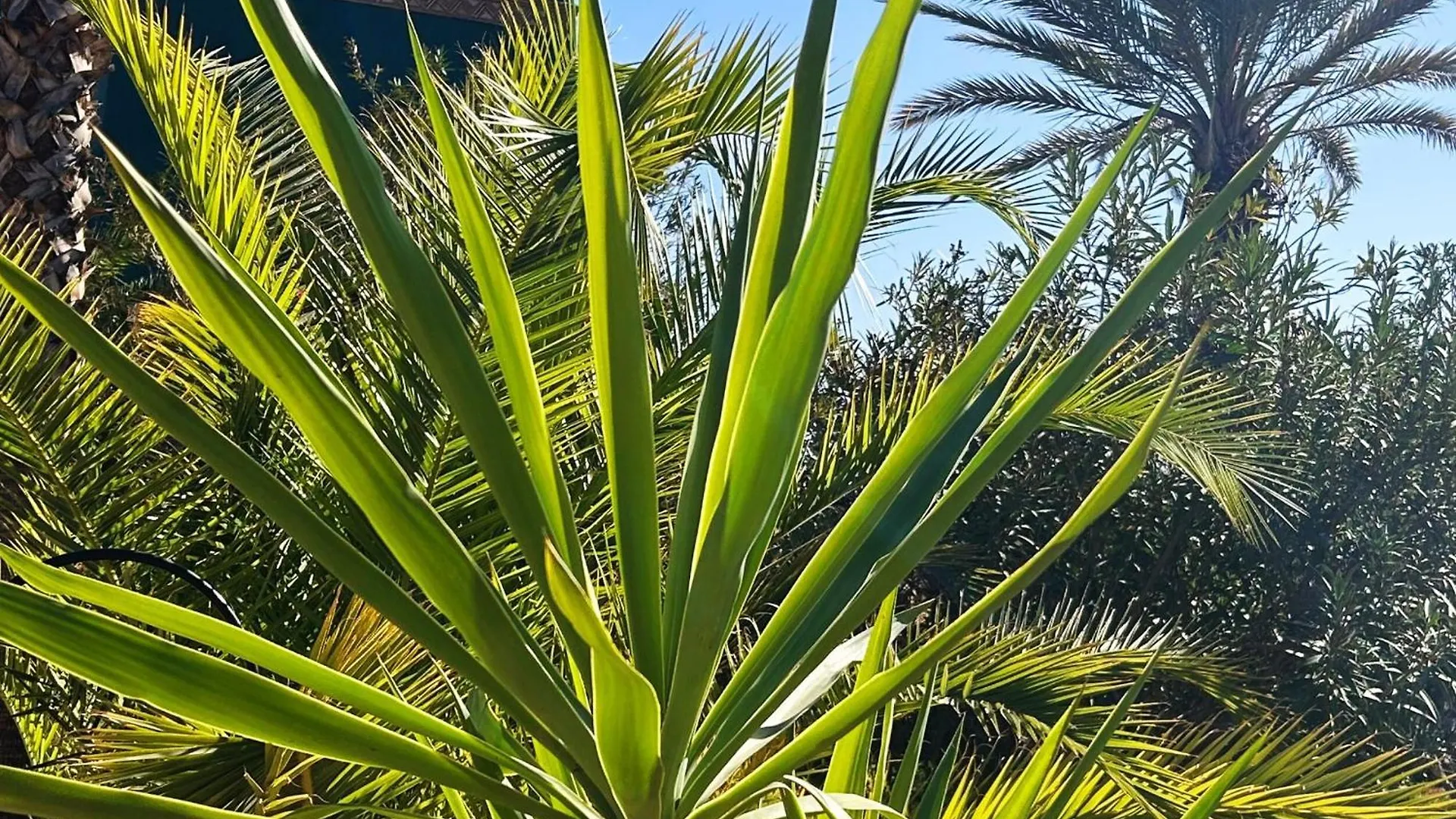 Hotel Les Jardins D'Issil El Aggada Gasthof